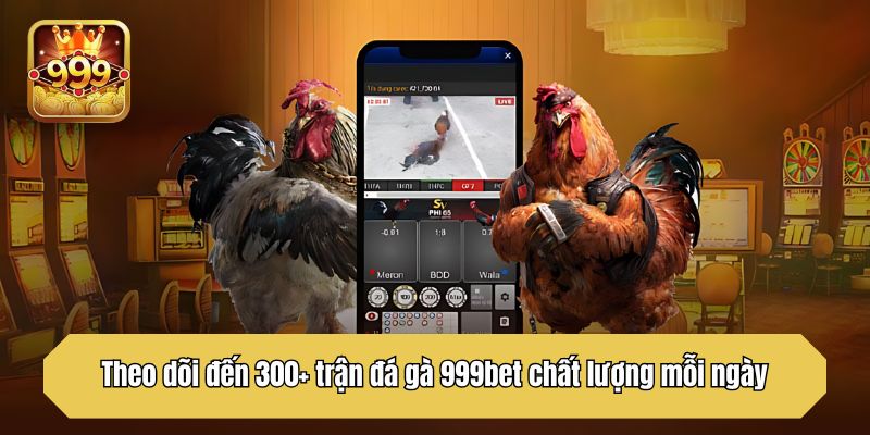 Theo dõi đến 300+ trận đá gà 999bet chất lượng mỗi ngày
