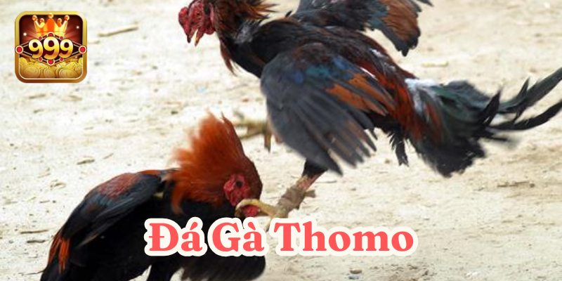 Bí kíp xem trận đấu an toàn tại nền tảng